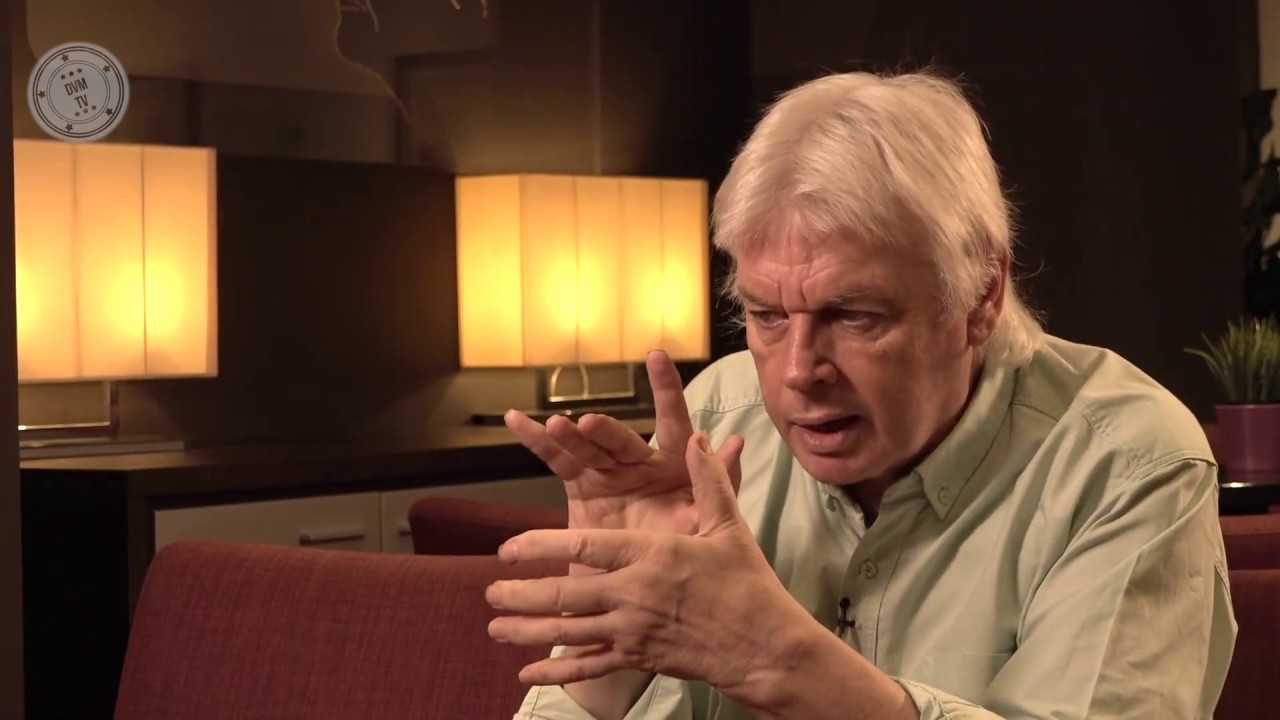 Interview with David Icke