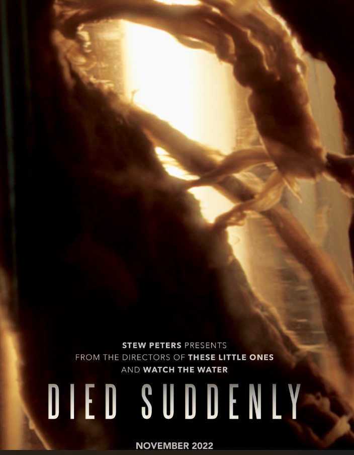 Documentaire 'Died suddenly' got millions of views