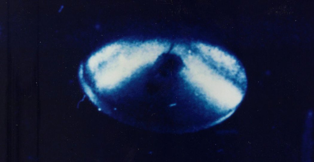 Brief Dr. Steven Greer: 'publicatie van bewijsmateriaal UFO's/UAP's'